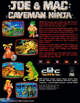 Joe & Mac - Caveman Ninja_Disk2 box cover back